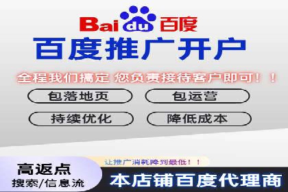 搜索引擎广告（SEM）在本地化推广中的运用案例